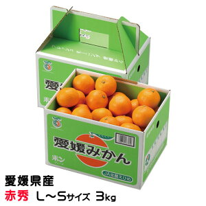 Ε ݂ ւ݂ ԏG L`STCY 3kg x12xȏ Q Y JAЂߒ Iʏ  ~J Mtg