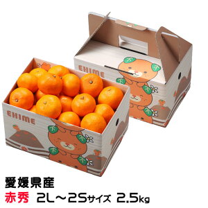 Ε ݂ ւ݂ ԏG 2L`2STCY 2.5kg ݂񔠓 x12xȏ Q Y JAЂߒ Iʏ  ~J