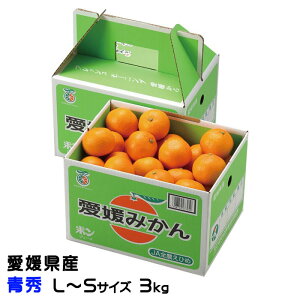 ݂ ւ݂ G L`STCY 3kg x12xȏ Q Y JAЂߒ Iʏ  ~J Mtg