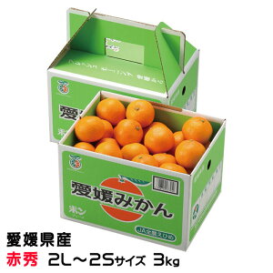 Ε ݂ ւ݂ ԏG 2L`2STCY 3kg x12xȏ Q Y JAЂߒ Iʏ  ~J Mtg