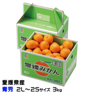 Ε ݂ ւ݂ G 2L`2STCY 3kg x12xȏ Q Y JAЂߒ Iʏ  ~J Mtg