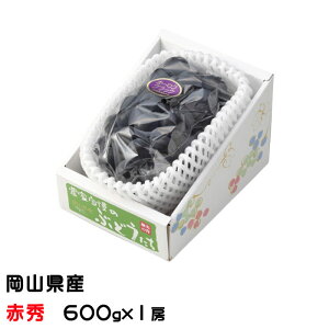 Ԃǂ I[ubN ԏG 嗱 600g 1[ RY JA  uhE