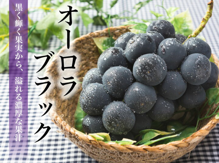 楽天市場】ぶどう オーロラブラック 青秀 3〜6房 1.5kg 岡山県産 JA 
