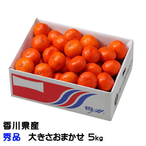 Ε ݂ g Gi 傫܂ 5kg 쌧Y ~J  Mtg 