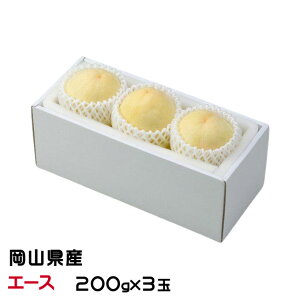 Ε  R~ G[X 150g×3 RY JAgH    Mtg