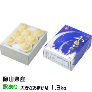 Ε  R~ ̂ Ɩ󂠂 傫܂ 1.3kg RY JAgH    Mtg