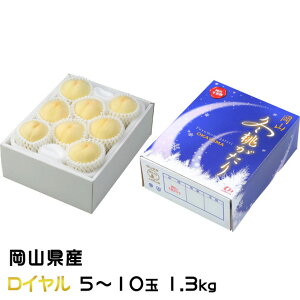 Ε  R~ C 5`10 1.3kg RY JAgH    Mtg