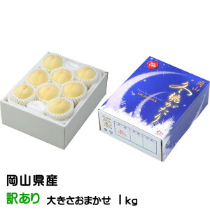 Ε  R~ ̂ Ɩ󂠂 傫܂ 1kg RY JAgH    Mtg