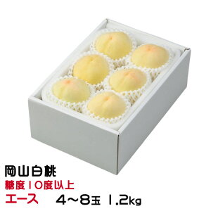 ������ �� ���R���� �G�[�X 4�`8�� 1.2kg ���R���Y JA������� ���� ����