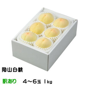  R Ɩ󂠂 4`6 1kg RY JA  