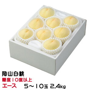 ������ �� ���R���� �G�[�X 5�`10�� 2.4kg ���R���Y JA������� ���� ����