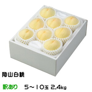 �� ���R���� ������Ɩ󂠂� 5�`10�� 2.4kg ���R���Y JA������� ���� ����