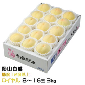 ������ �� ���R���� ���C���� 8�`16�� 3.0kg ���R���Y JA������� ���� ����