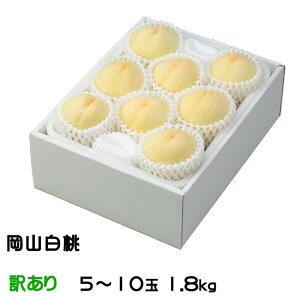  R Ɩ󂠂 5`10 1.8kg RY JA  