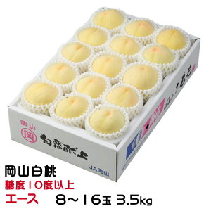 ������ �� ���R���� �G�[�X 8�`16�� 3.5kg ���R���Y JA������� ���� ����