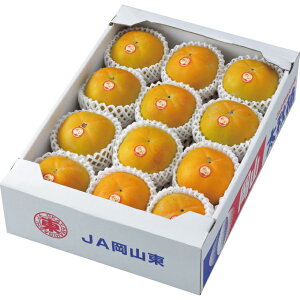 ` H` イ Gi 12`15 4kg YnI  JL