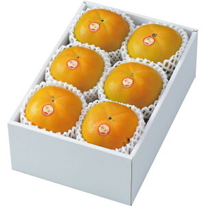 Ε ` H` イ ̂ Ɩ󂠂 傫܂ 1.5kg YnI  JL N Mtg 