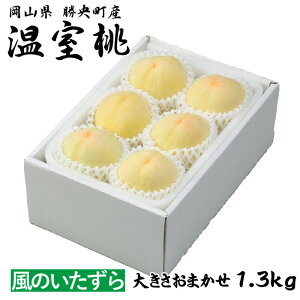 �� ������ ���� �͂��Ƃ� ���̂������� �󂠂� �傫�����܂��� 1.3kg ���R���Y JA���p ���� ���� �M�t�g �����񂹃O����