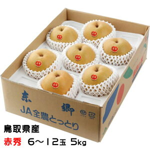  H イȂ ԏG 6`12 5kg 挧Y  iV Ȃ Mtg Ε