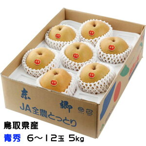  H イȂ G 6`12 5kg 挧Y  iV Ȃ Mtg Ε