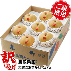 梨 王秋梨 おうしゅうなし 風のいたずら ちょっと訳あり 大きさおまかせ 5kg 鳥取県産 梨 ナシ なし ギフト