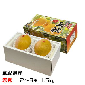  H イȂ ԏG 2`3 1.5kg 挧Y  iV Ȃ