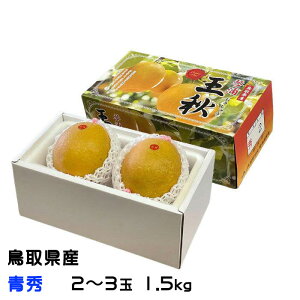  H イȂ G 2`3 1.5kg 挧Y  iV Ȃ