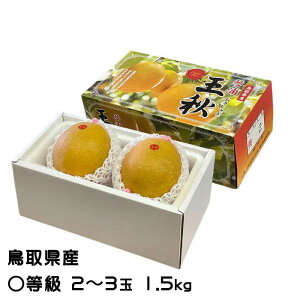  H イȂ Z 2`3 1.5kg 挧Y  iV Ȃ