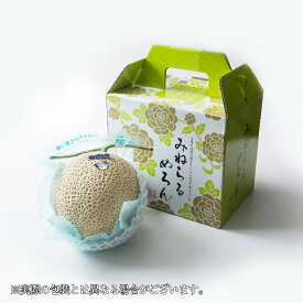 お歳暮 メロン プリンセスニーナ 秀品 1.4kg×1玉 アールスメロン 高知県産 JA高知県 ギフト