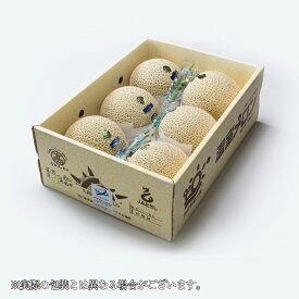 メロン プリンセスニーナ 秀品 7kg 5〜6玉 アールスメロン 高知県産 JA高知県 ギフト