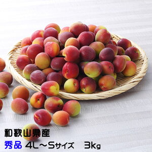 南高梅 4l」の人気商品一覧・価格比較 - 価格.com