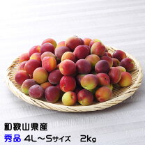 楽天市場】南高梅 秀 2kgの通販