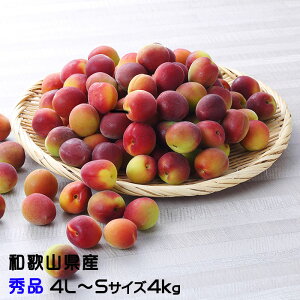 南高梅 4l」の人気商品一覧・価格比較 - 価格.com