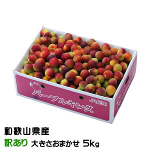 �~ �p�[�v���L���O ���̂������� �󂠂� �傫�����܂��� 5kg �a�̎R���Y JA�I�� �썂�~ �p�[�v�� ����
