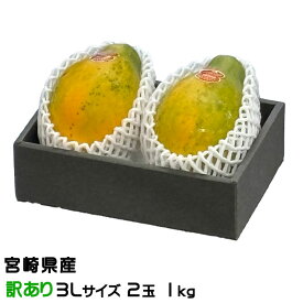 パパイヤ パパイア 風のいたずら 訳あり 3Lサイズ 2玉 1kg JA宮崎中央 宮崎県産 サンライズソロ ギフト