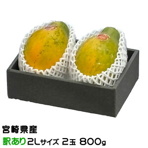�p�p�C�� �p�p�C�A ���̂������� �󂠂� 2L�T�C�Y 2�� 800g JA�{�蒆�� �{�茧�Y �T�����C�Y�\�� �M�t�g