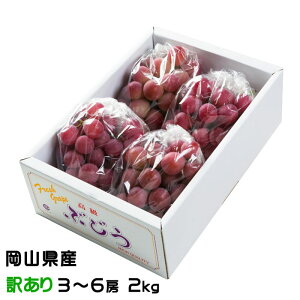 Ԃǂ NC[j[i Ɩ󂠂 3`6[ 2kg RY JA  uhE