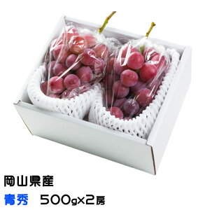�Ԃǂ� �N�C�[���j�[�i �G 500g×2�[ ���R���Y JA������� ���� �u�h�E