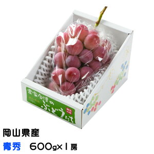 �Ԃǂ� �N�C�[���j�[�i �G 600g×1�[ ���R���Y JA������� ���� �u�h�E