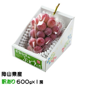 Ԃǂ NC[j[i Ɩ󂠂 600g×1[ RY JA  uhE