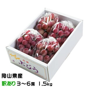 ぶどう クイーンニーナ ちょっと訳あり 3〜6房 1.5kg 岡山県産 JAおかやま 葡萄 ブドウ