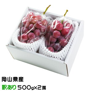 Ԃǂ NC[j[i Ɩ󂠂 500g×2[ RY JA  uhE