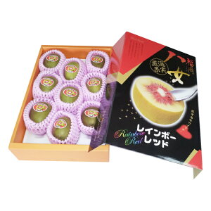 LECt[c C{[bh Gi 9 800g Y JAӂ Mtg 蕨 LECt[c