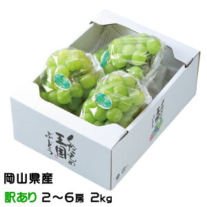 Ԃǂ ˃WCAc ̂ Ɩ󂠂 2`6[ 2kg RY JA  uhE