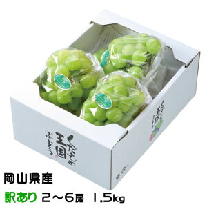 Ԃǂ ˃WCAc ̂ Ɩ󂠂 2`6[ 1.5kg RY JA  uhE