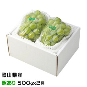 ぶどう 瀬戸ジャイアンツ 風のいたずら ちょっと訳あり 500g×2房 岡山県産 JAおかやま 葡萄 ブドウ