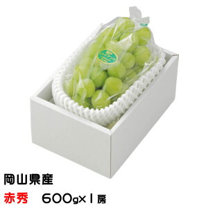 Ε Ԃǂ ˃WCAc ԏG 600g×1[ RY JA  uhE