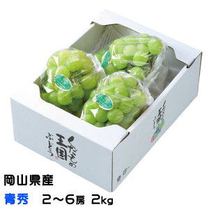 Ԃǂ ˃WCAc G 2`6[ 2kg RY JA  uhE