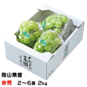 Ԃǂ ˃WCAc ԏG 2`6[ 2kg RY JA  uhE