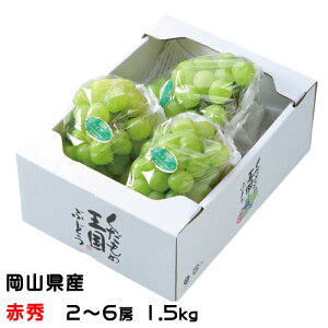 Ԃǂ ˃WCAc ԏG 2`6[ 1.5kg RY JA  uhE